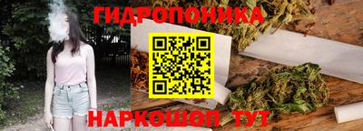 a pvp Гусь-Хрустальный