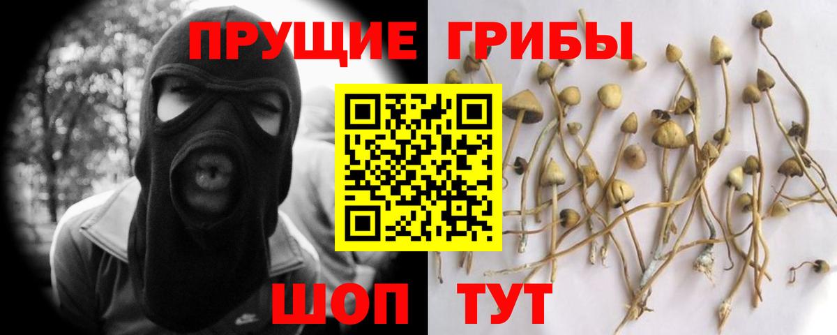 Магнитогорск  Галлюциногенные грибы мухоморы  Вход с VPN 